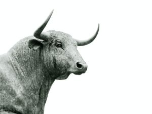 Read more about the article Bitcoin Bulls Target $69K Lifetime Highs Ahead of Halving