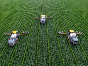 Read more about the article Seeking Yield on $37M Ether Treasury, JPEG’d DAO Mulls Airdrop Farming