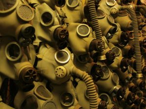 Read more about the article Is Toxic Bitcoin Maximalism Getting Less Toxic?